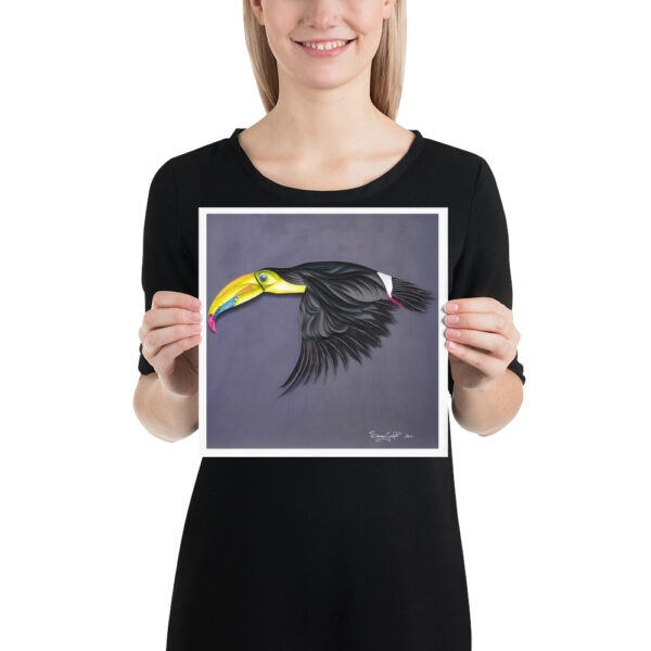 Toucan Volant - affiche – Image 2