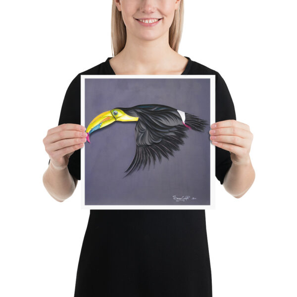 Toucan Volant - affiche – Image 3