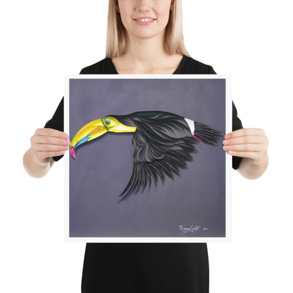 Toucan Volant - affiche – Image 5